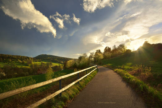 - Bicyclepath Organ -