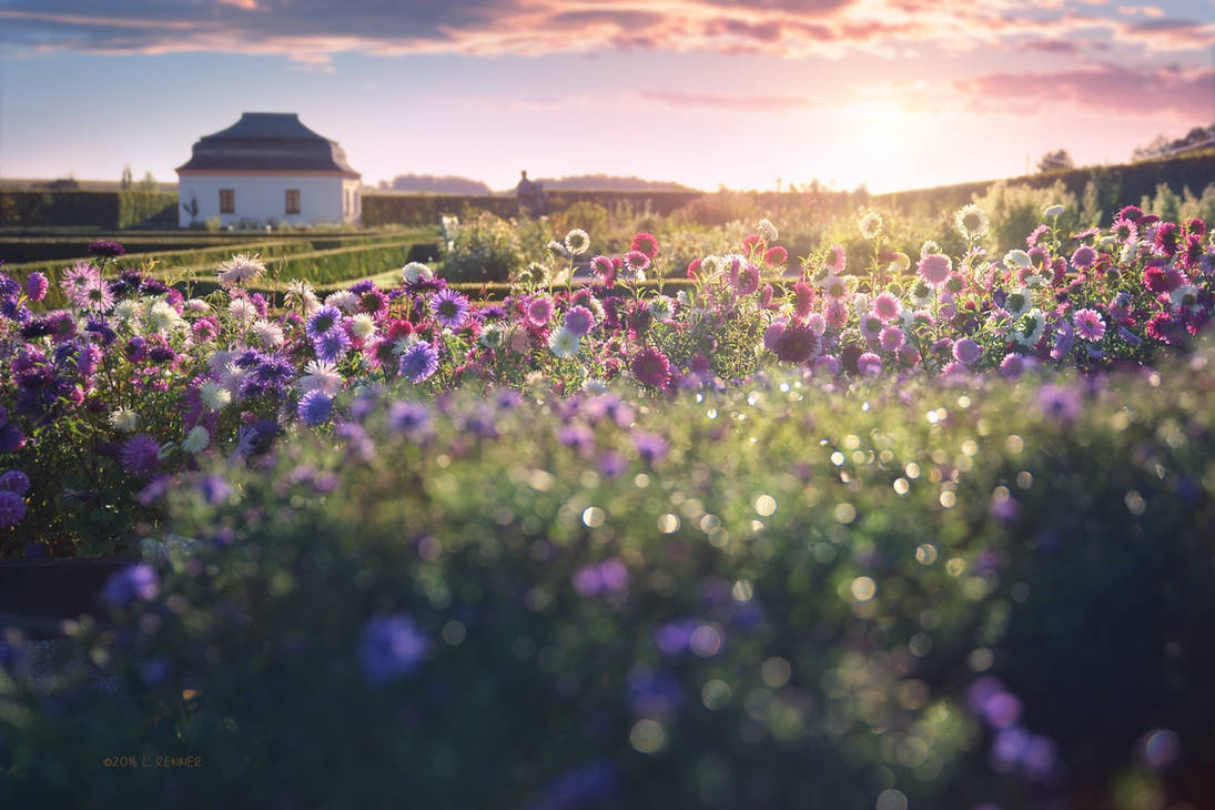 - Herbal Garden - by UNexperienced