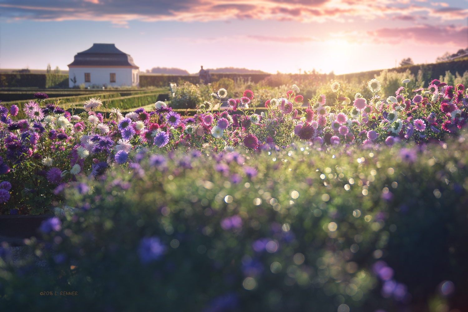- Herbal Garden - by UNexperienced