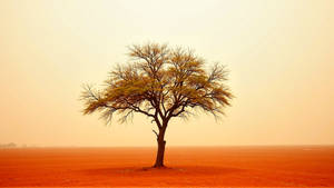 lonesome