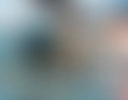 003