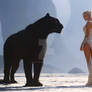 wildcats