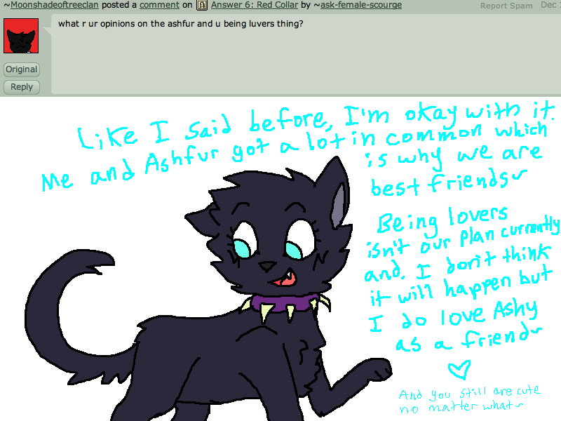 Answer 17: Ashfur