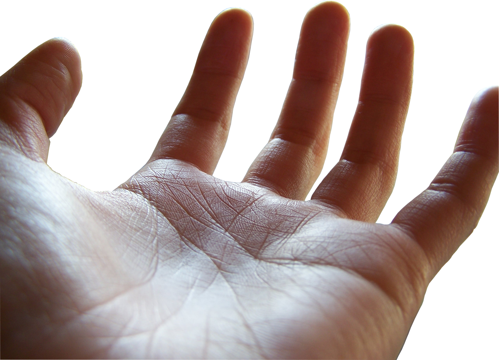 open palm png (female hand)