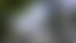 Background Resource Images germany OB01