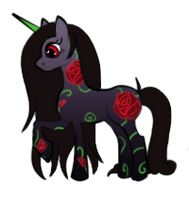 OC: Midnight Rose