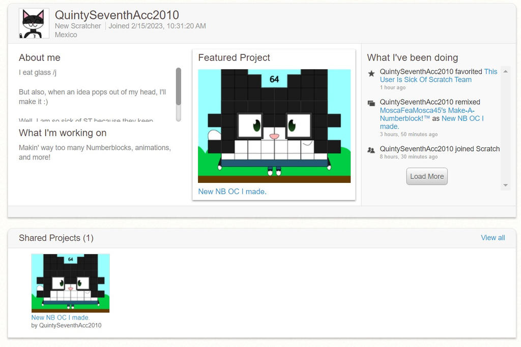 A screenshot of my newest Scratch profile by QuintyArtz2010 on DeviantArt