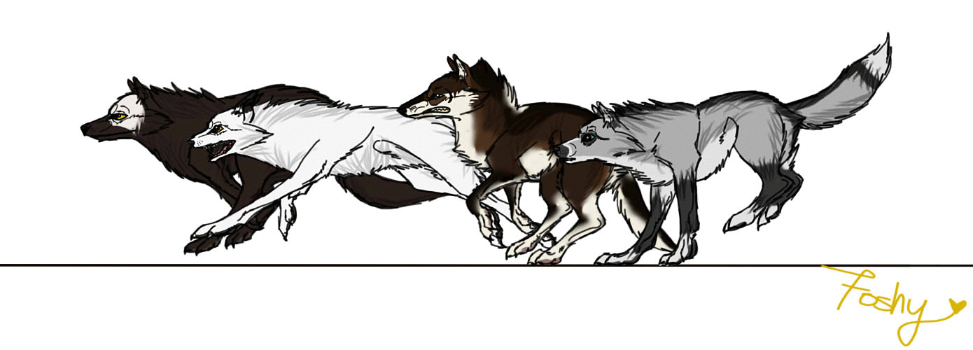 Mikaley Comm - Animated Wolf Pack by XxTheFoshyNozz on DeviantArt