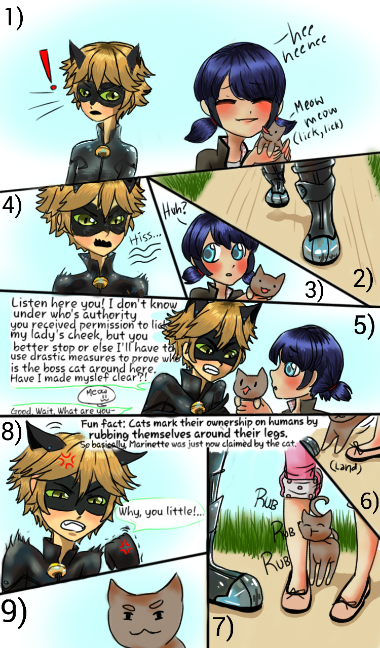 Miraculous Ladybug Fancomic Cat Fight By Patchedupartist On Deviantart Miraculous Ladybug Fancomic Cat Fight By Patchedupartist On Deviantart