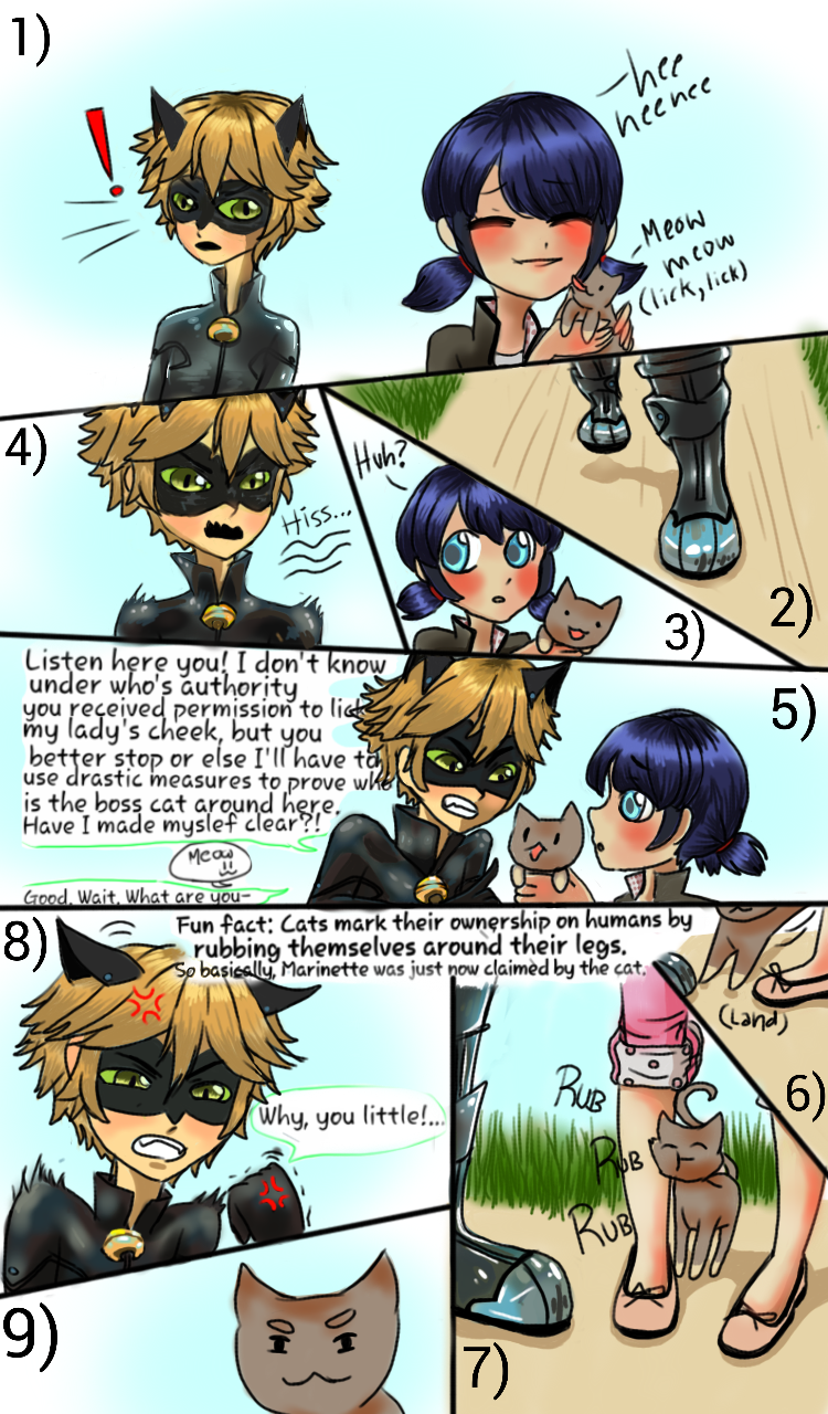 Miraculous Ladybug fancomic: Cat Fight