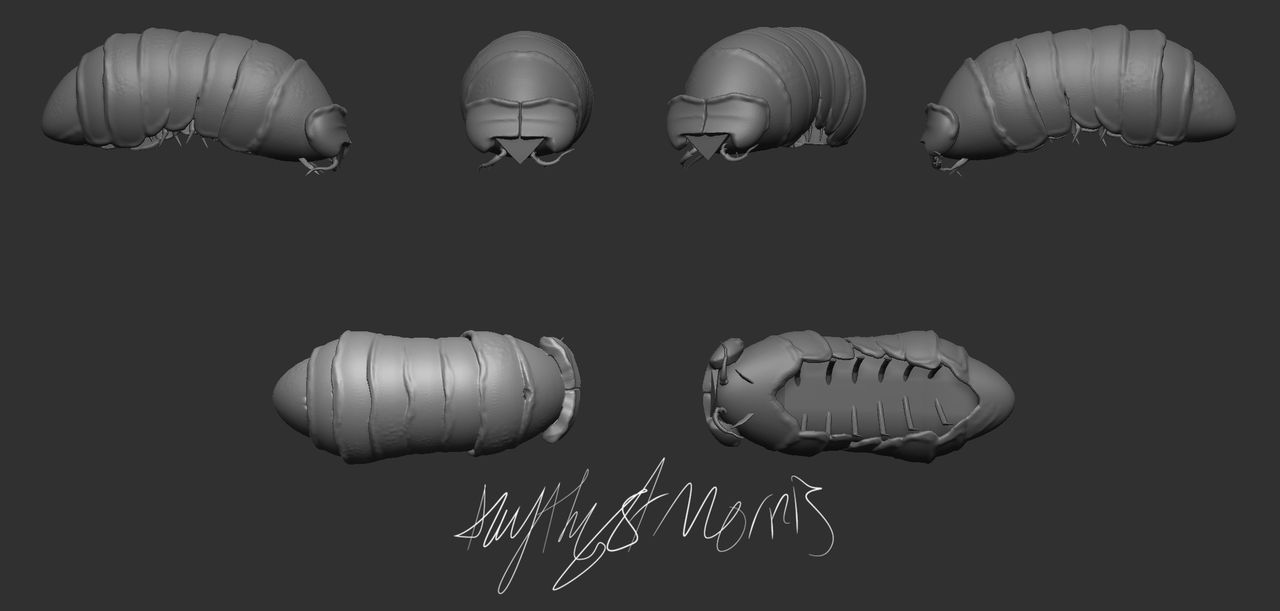 3D Fundamentals: Roly Poly by AmythystMorris on DeviantArt