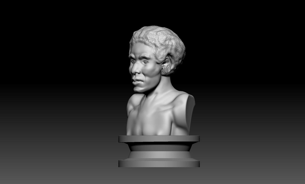 3D Model Design: 3/4 Side Bust by AmythystMorris on DeviantArt