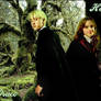 Draco and Hermione