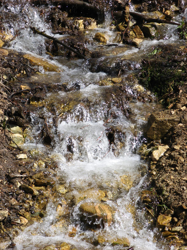 Rotten Spring Fresh Spring by Ranagon on DeviantArt