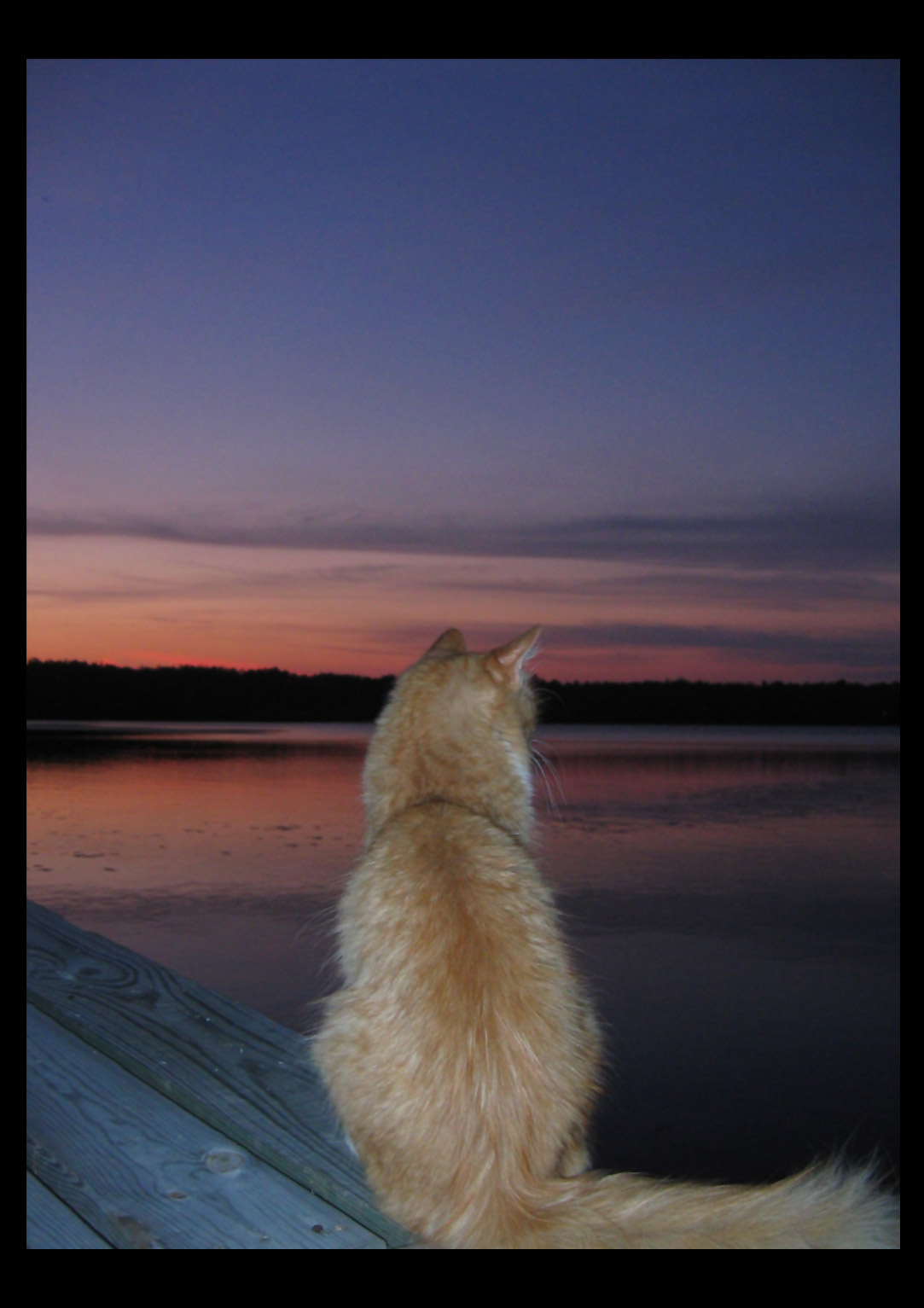 watching the sunset