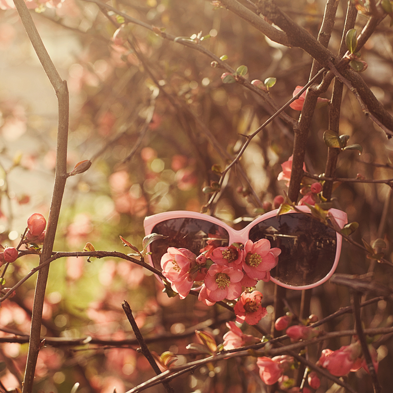 waiting for summer