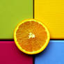 Citrus Still Life I