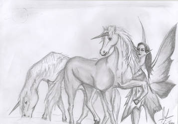 Faeries and Unicorns