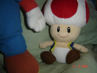Toad plush and Mario body