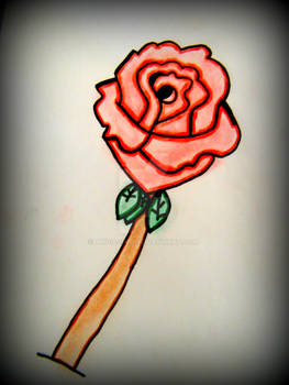 Red Rose