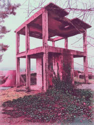 Pink structure