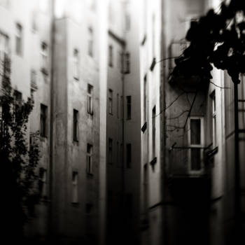 Backyards by DominikKucera