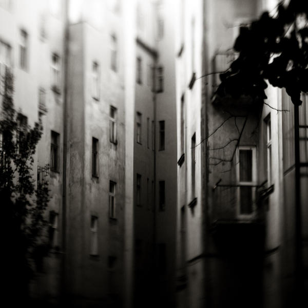 Backyards