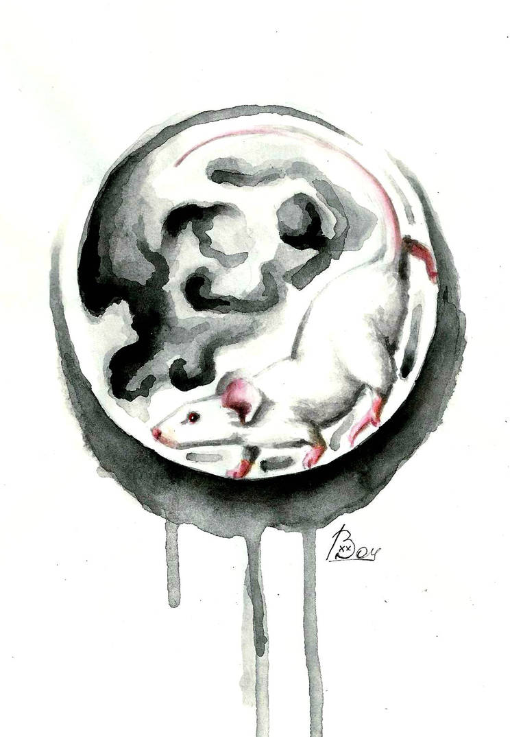 Moon rat by Undinya on DeviantArt