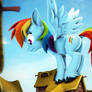 rainbow dash what are you doing up there