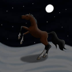 It snowing or are there stars?