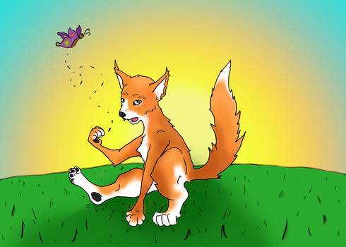 Hershall the Haphazard Fox