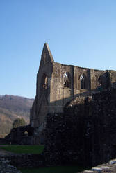 Tintern Abbey 3