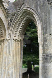 Glastonbury Abbey 7