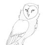 (FREE) FEMALE BARN OWL LINEART