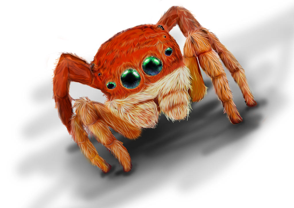 Spider Insect Deviantart Spider by Elnis07 on DeviantArt