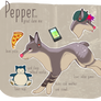 C: Pepper