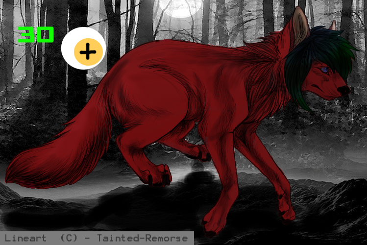 wolf adoptable 35 points