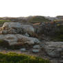 Cliffs 11