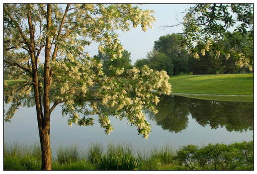 Aroma by the Lake