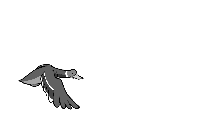 Animated GIF 03 - duck flight by Tallychyck on DeviantArt Animated GIF 03 - duck flight by Tallychyck on DeviantArt
