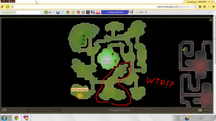 OMG WTF RUNESCAPE WAT IS THIS