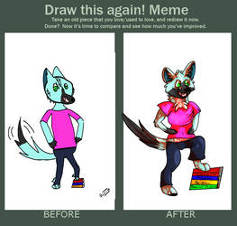 Before and After Meme