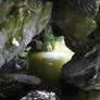 Inside the grotto