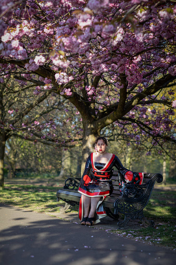 Sakura Spring III by RubberGeek on DeviantArt