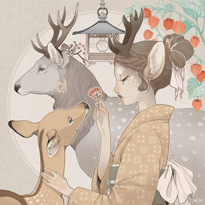 Cervus nippon