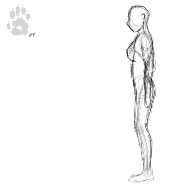 Chel Riches Animation Chel -Shift Animation Test by CanineHybrid on DeviantArt