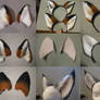 Ear Commission Examples