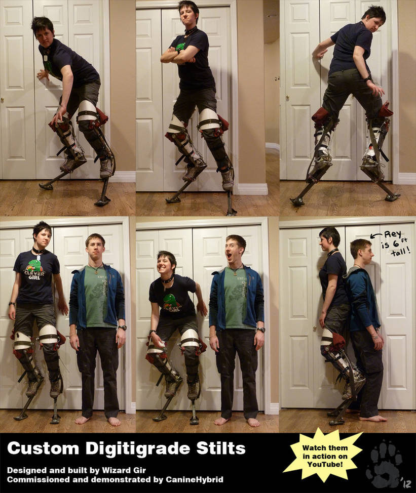 Custom Digitigrade Stilts by CanineHybrid
