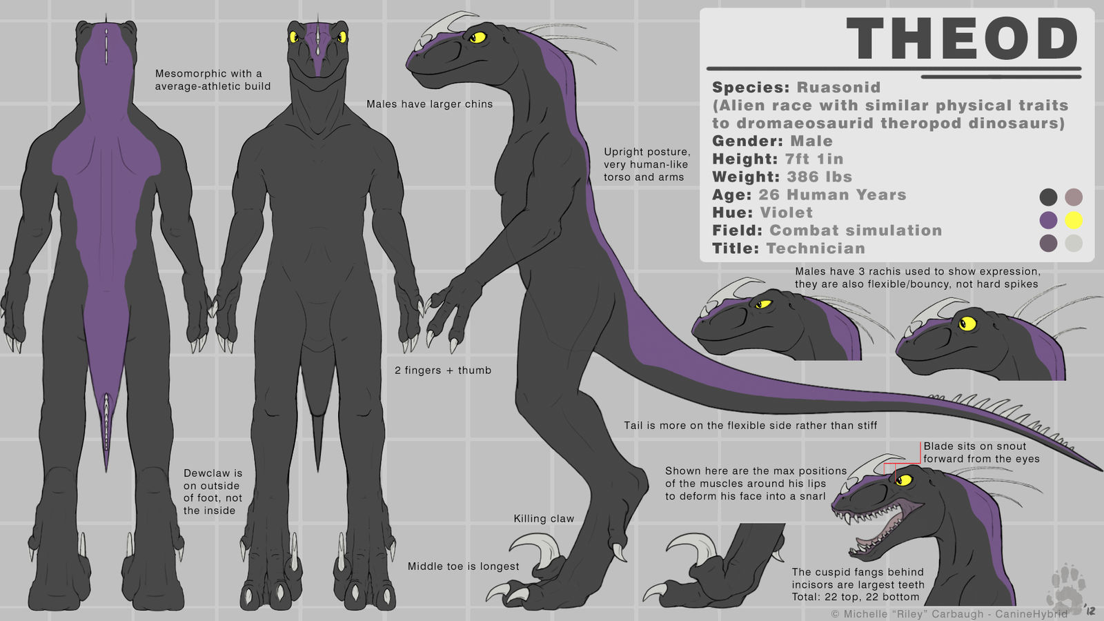 Theod - Reference Sheet 2.3