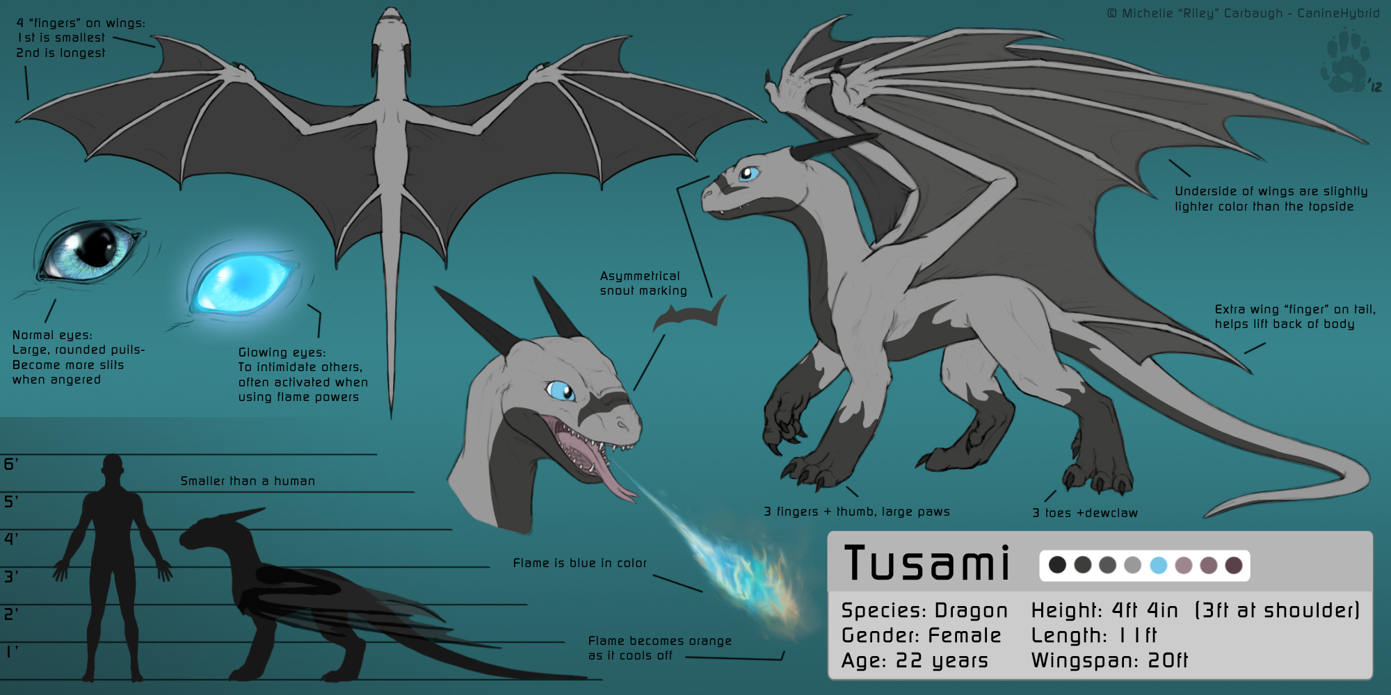 Tusami the Dragon- Reference Sheet